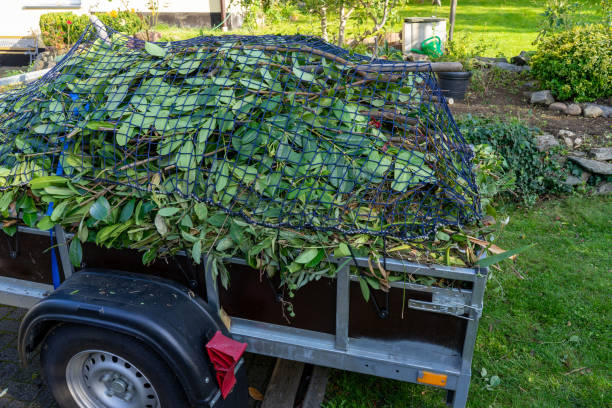 Moving and Downsizing Cleanouts in Evanston, IL